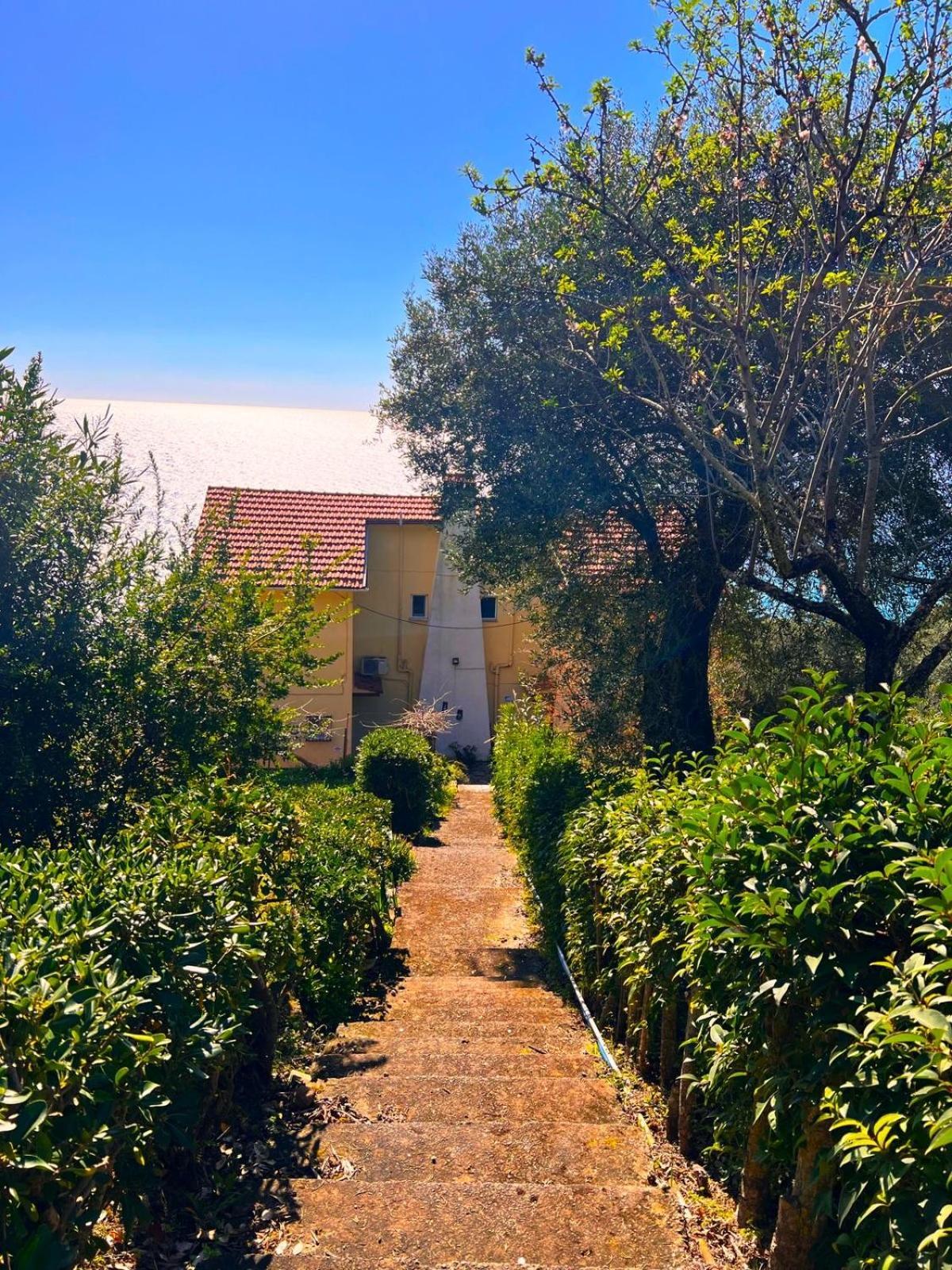 Stefanos Apartments By Sv Alians アギオス・ゴルディオス エクステリア 写真